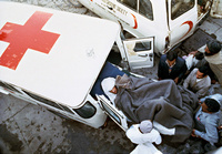 红十字会与红新月会国际联合会